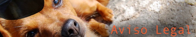 AvisoLegalMainImage