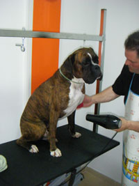 Peluquer&iacute;a Table